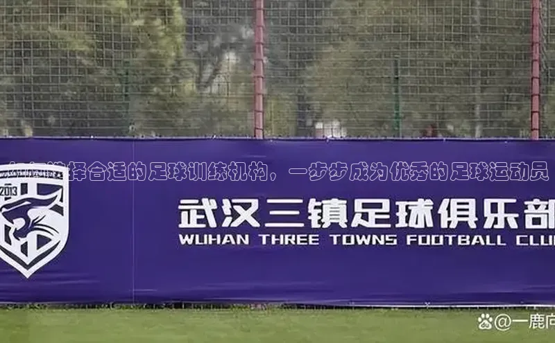 欧陆娱乐平台登录app滴滴出行如何选择合适的足球训练机构，一步步成为优秀的足球运动员