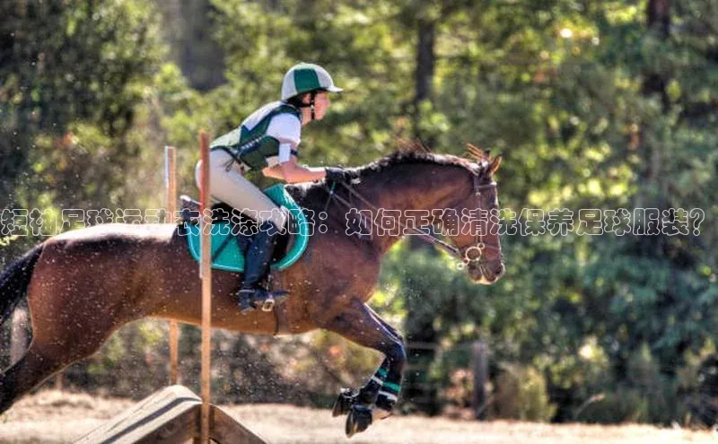 欧陆平台注册开户ARGA公司短袖足球运动衣洗涤攻略：如何正确清洗保养足球服装？