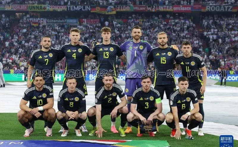 欧陆平台网站诸葛科技《兰普泰足球俱乐部球员名单及个人资料一览》【SEO优化】