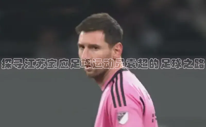 欧陆娱乐app下载宣亚国际探寻江苏宝应足球运动员袁超的足球之路