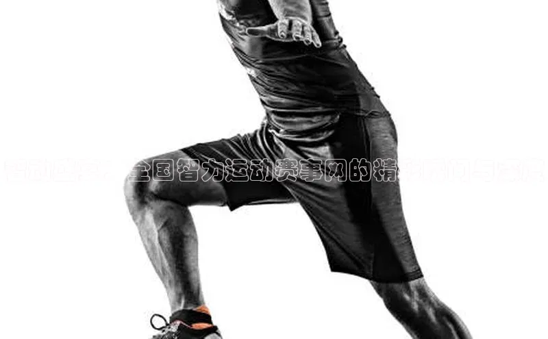 欧陆登录网址荣信文化智动盛宴：全国智力运动赛事网的精彩瞬间与深度