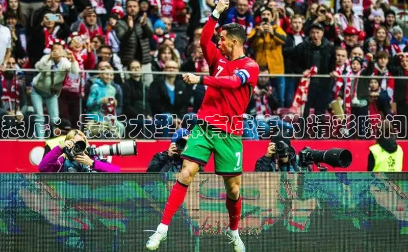 欧陆娱乐app下载安装百度翻译App悉尼：最新大型体育盛事的精彩瞬间