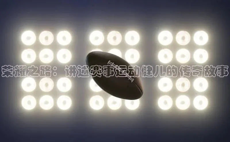 欧陆平台网站诸葛科技