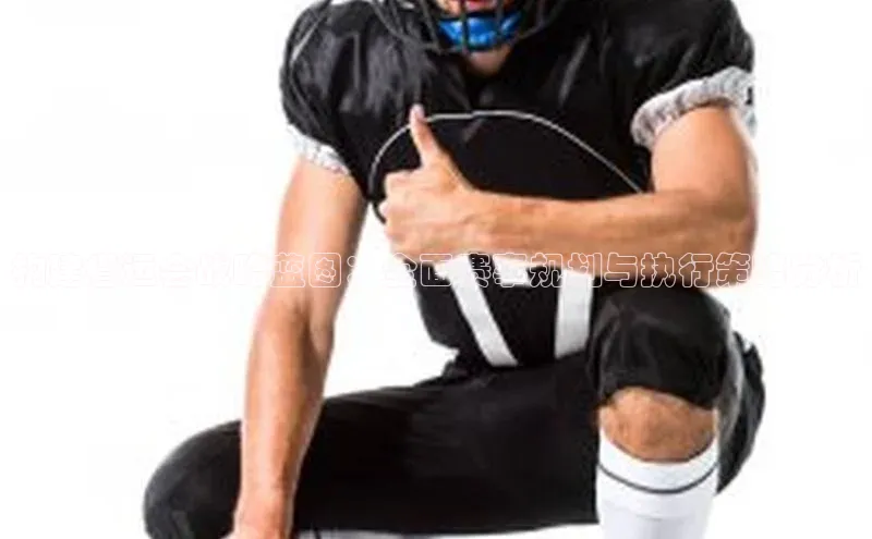 构建省运会战略蓝图：全面赛事规划与执行策略分析