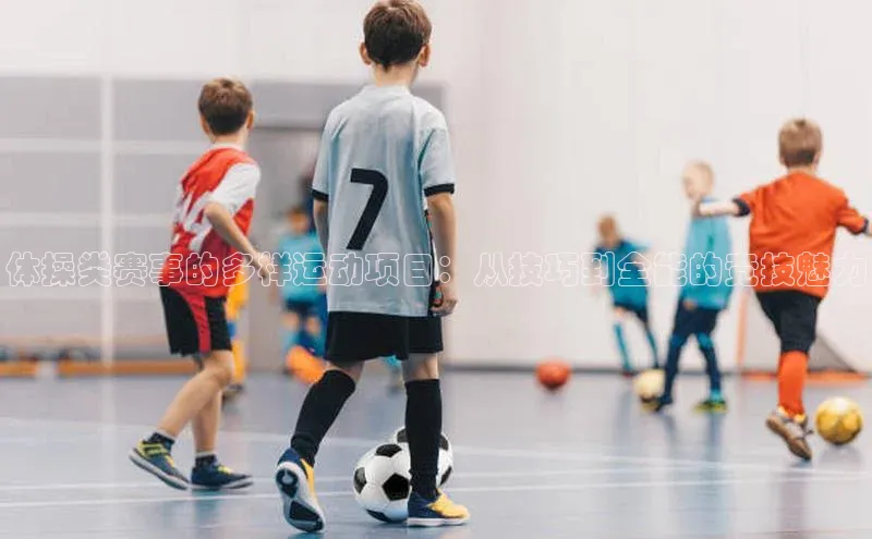 体操类赛事的多样运动项目：从技巧到全能的竞技魅力