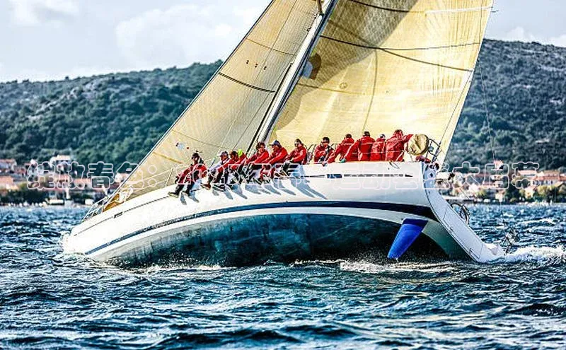 绽放春色：2023年春季运动会盛大启幕