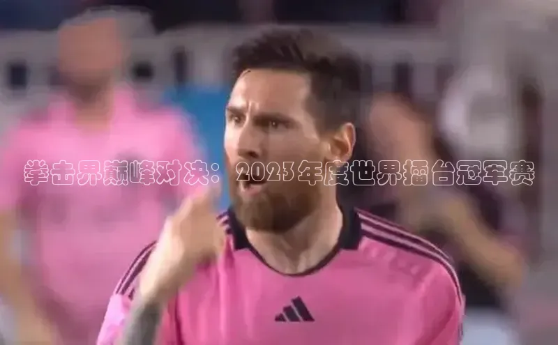 拳击界巅峰对决：2023年度世界擂台冠军赛