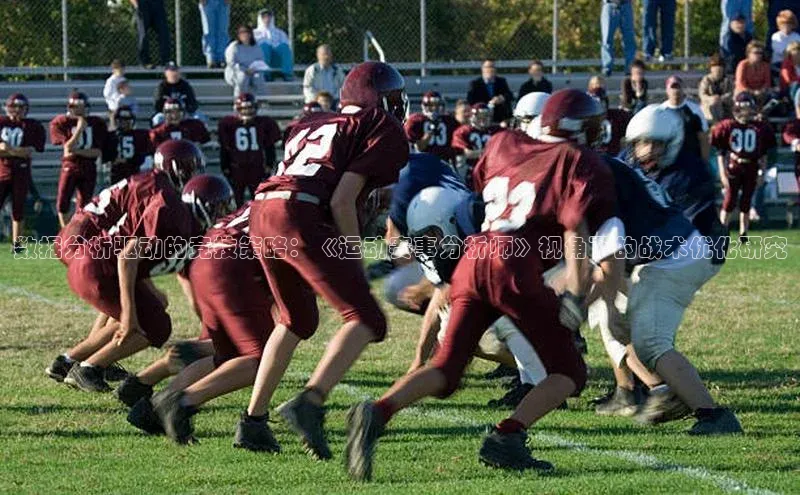 数据分析驱动的竞技策略：《运动赛事分析师》视角下的战术优化研究