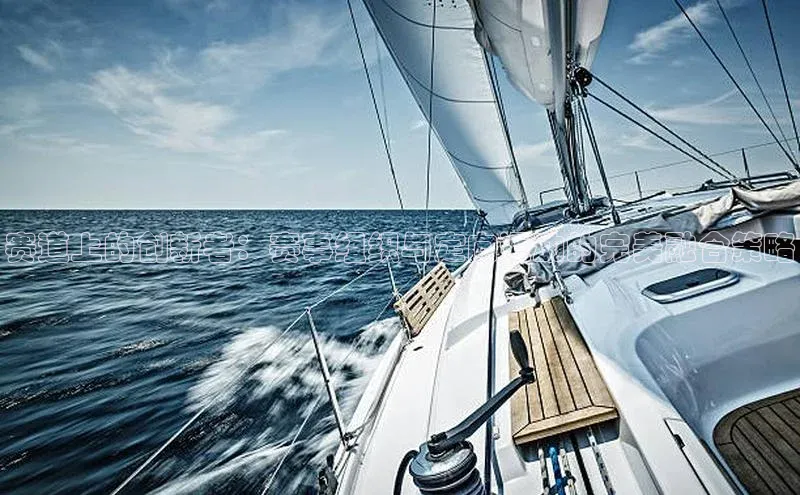 赛道上的创新者：赛事组织与定向运动的完美融合策略