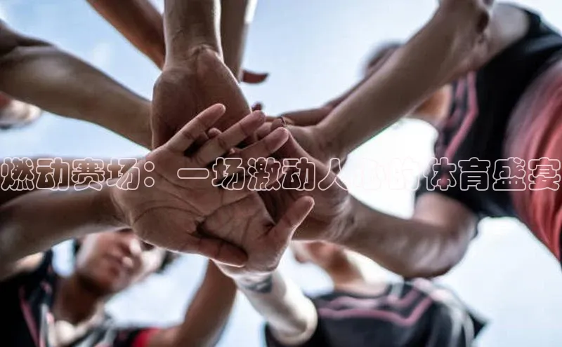 燃动赛场：一场激动人心的体育盛宴