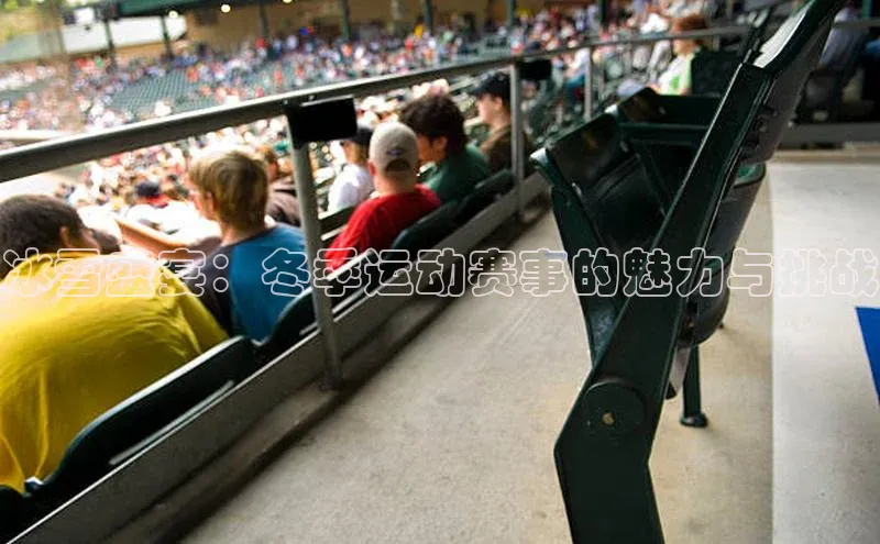 冰雪盛宴：冬季运动赛事的魅力与挑战