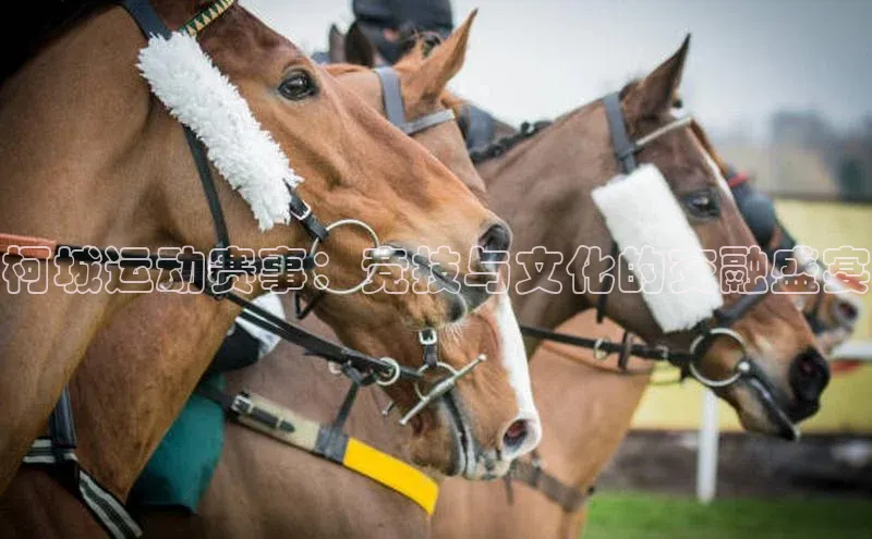 柯城运动赛事：竞技与文化的交融盛宴