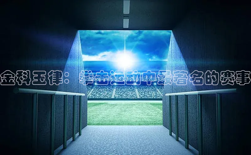 金科玉律：拳击运动中最著名的赛事