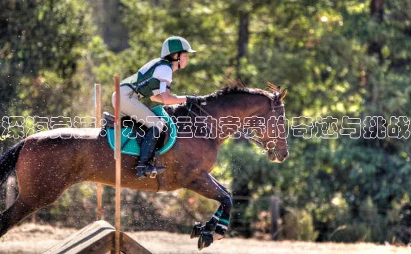 深海竞速：水下运动竞赛的奇迹与挑战