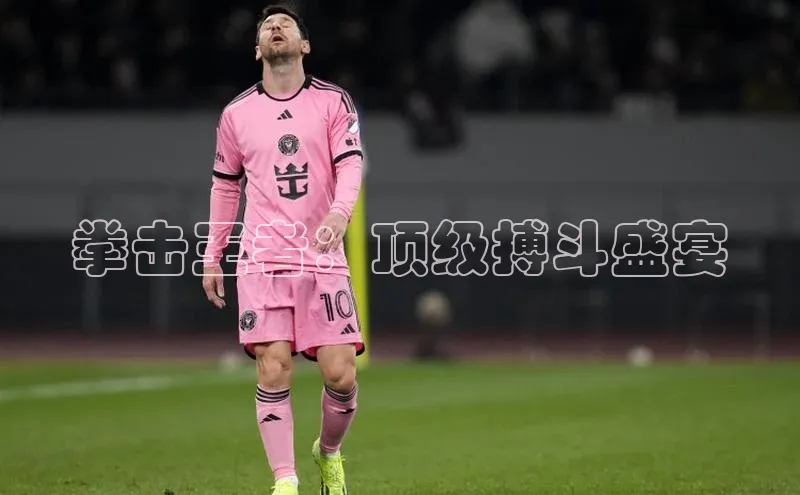 拳击王者：顶级搏斗盛宴