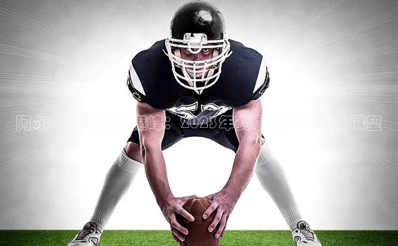 阿尔卑斯运动的巅峰：2023年赛事回顾与未来展望