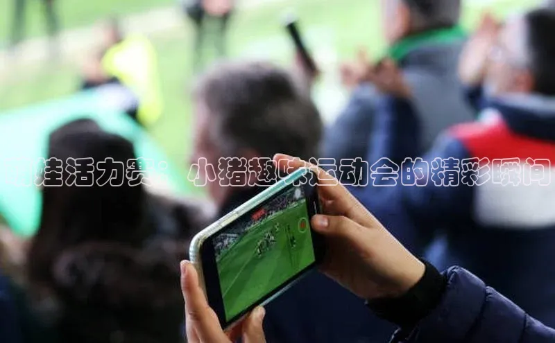 萌娃活力赛：小猪趣味运动会的精彩瞬间