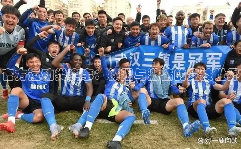 官方运动类赛事：极限与激情的竞技世界