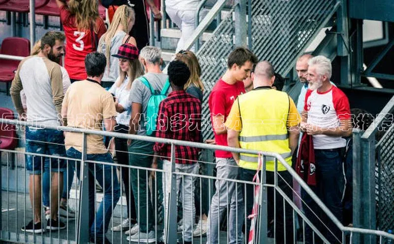 厦门：运动与文化的多元魅力——最新赛事推荐