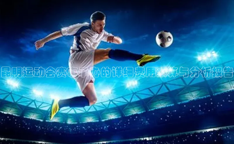 昆明运动会赛事承办的详细费用预算与分析报告