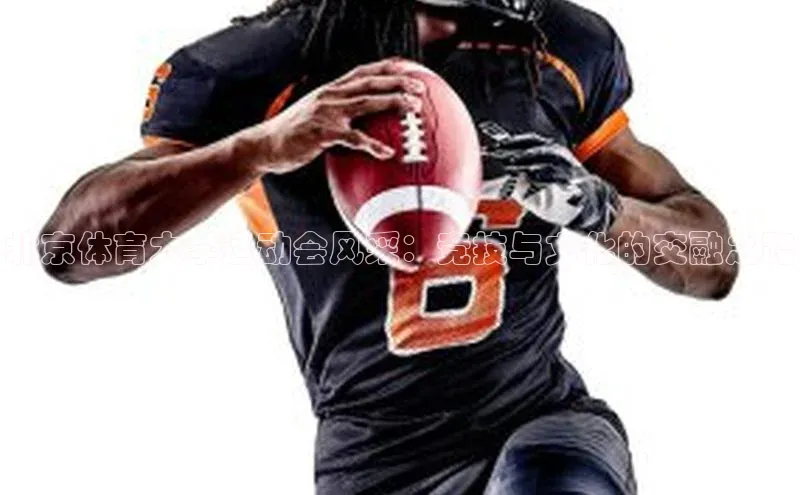 欧陆注册平台登录入口