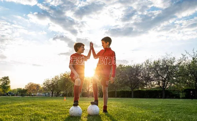 预见未来赛场：运动赛事门票预订APP的新纪元