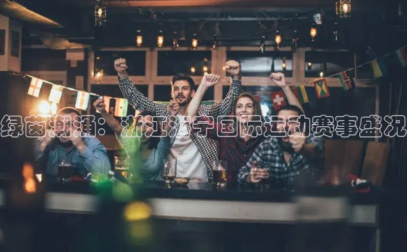 绿茵潮涌：浙江海宁国际运动赛事盛况