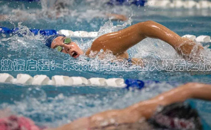 激情启程：未来体育盛会的入场券之旅